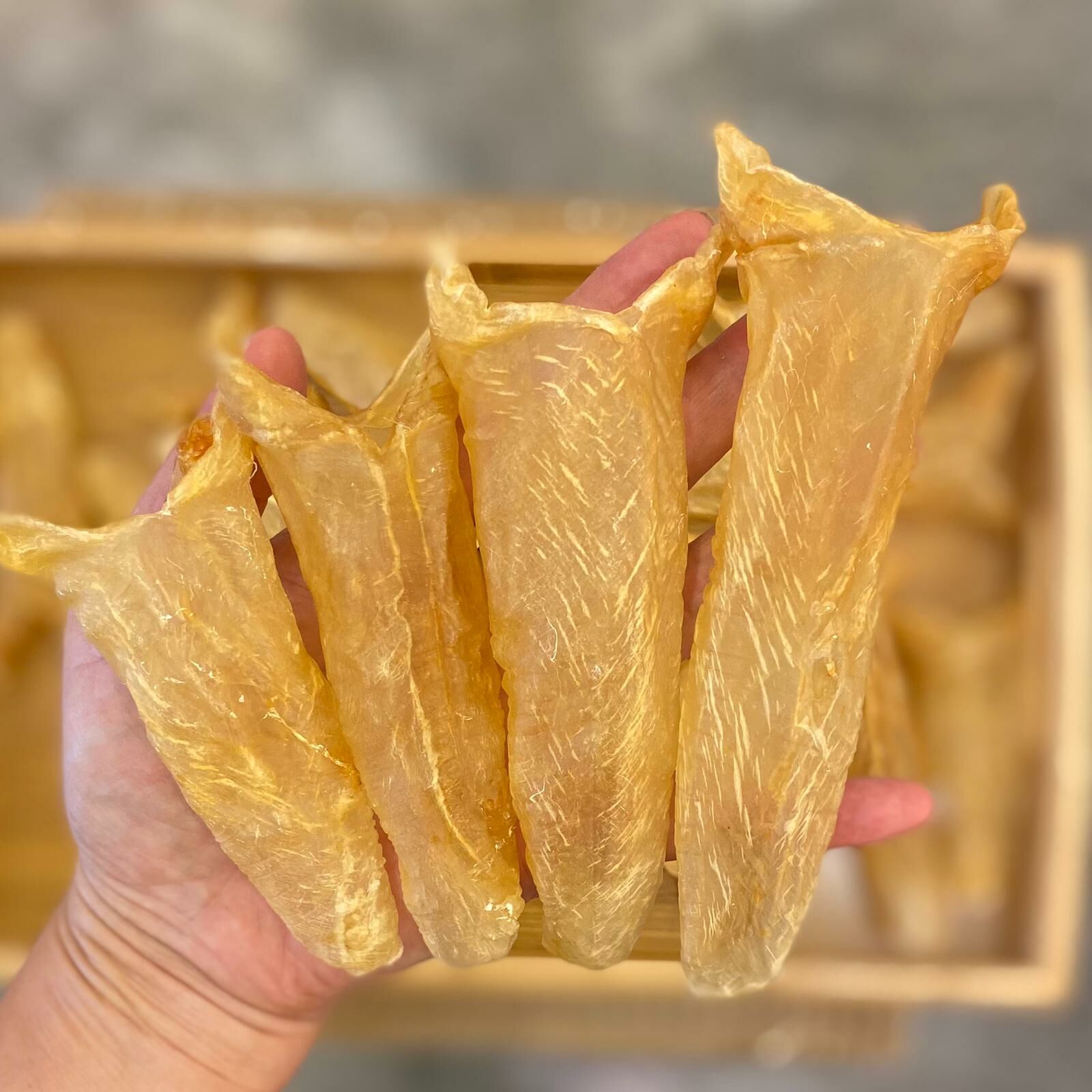 金龍肚筒（52頭）  200克，約18隻