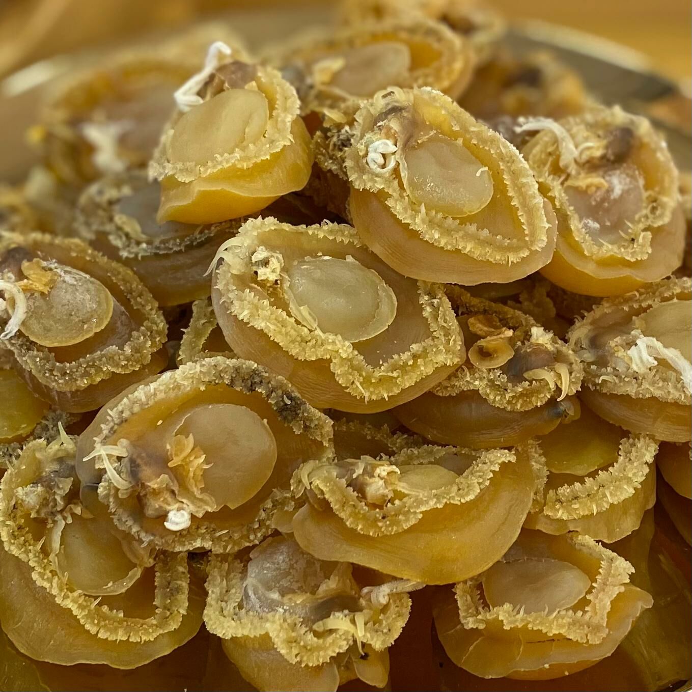 大連鮑魚：200克，約有19隻