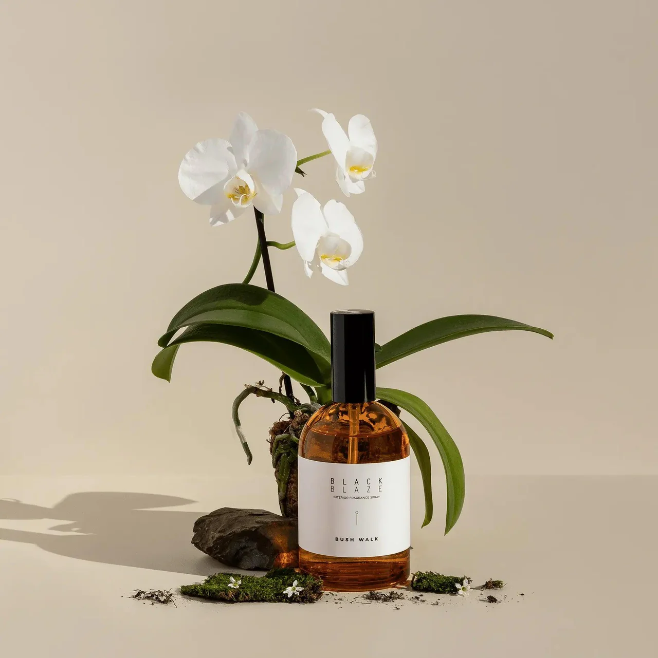 BLACK BLAZE 漫步灌木叢 Bush Walk 室內噴霧