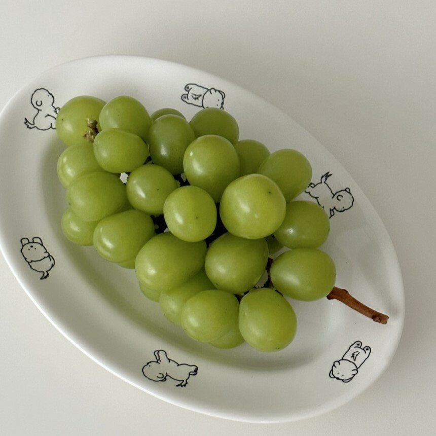 Tteokguknuna 比熊造型橢圓形盤