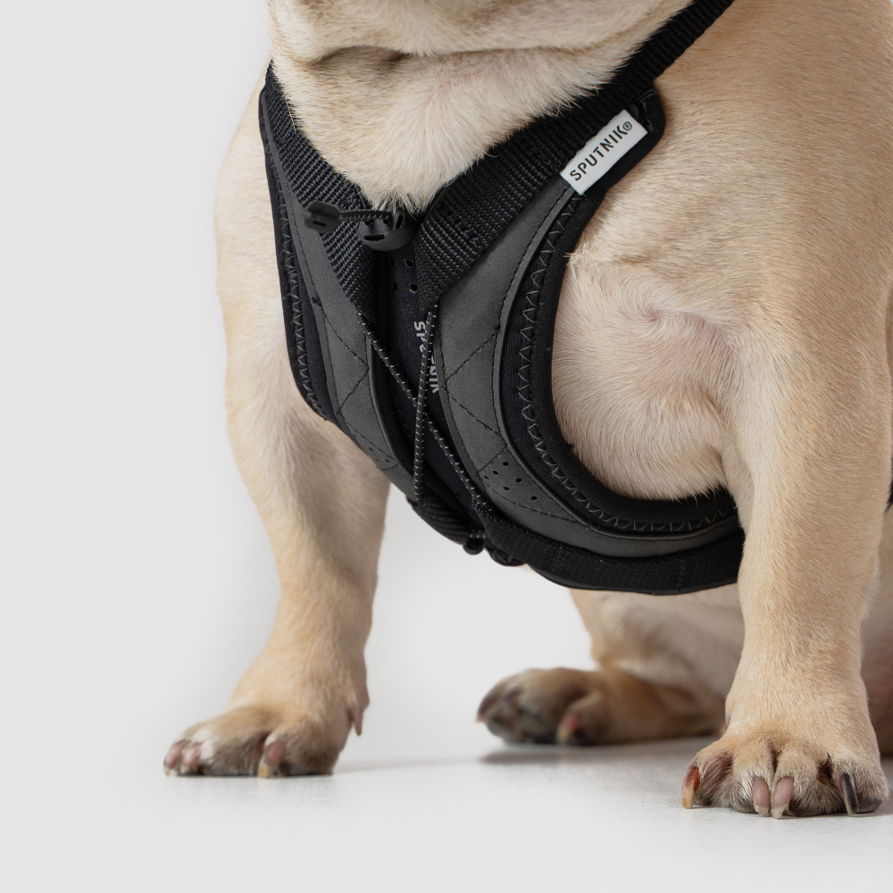 Ultra Explore︱終極胸背帶 - 黑