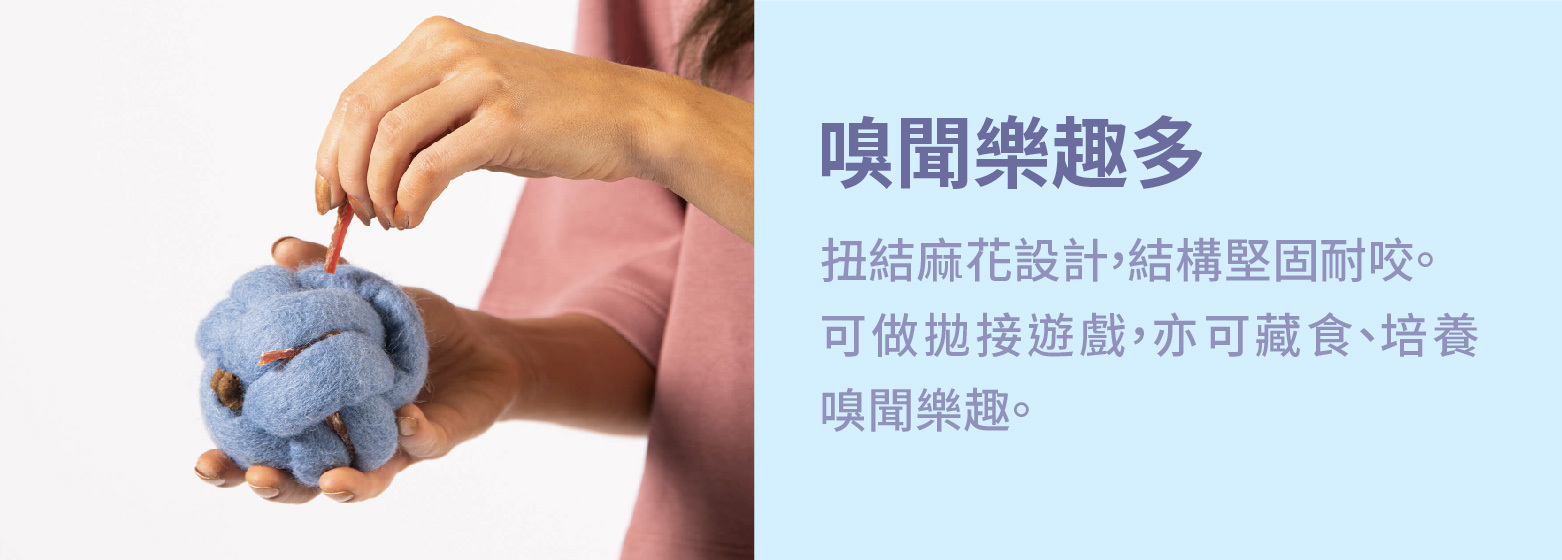 狗狗嗅聞藏食玩具推薦