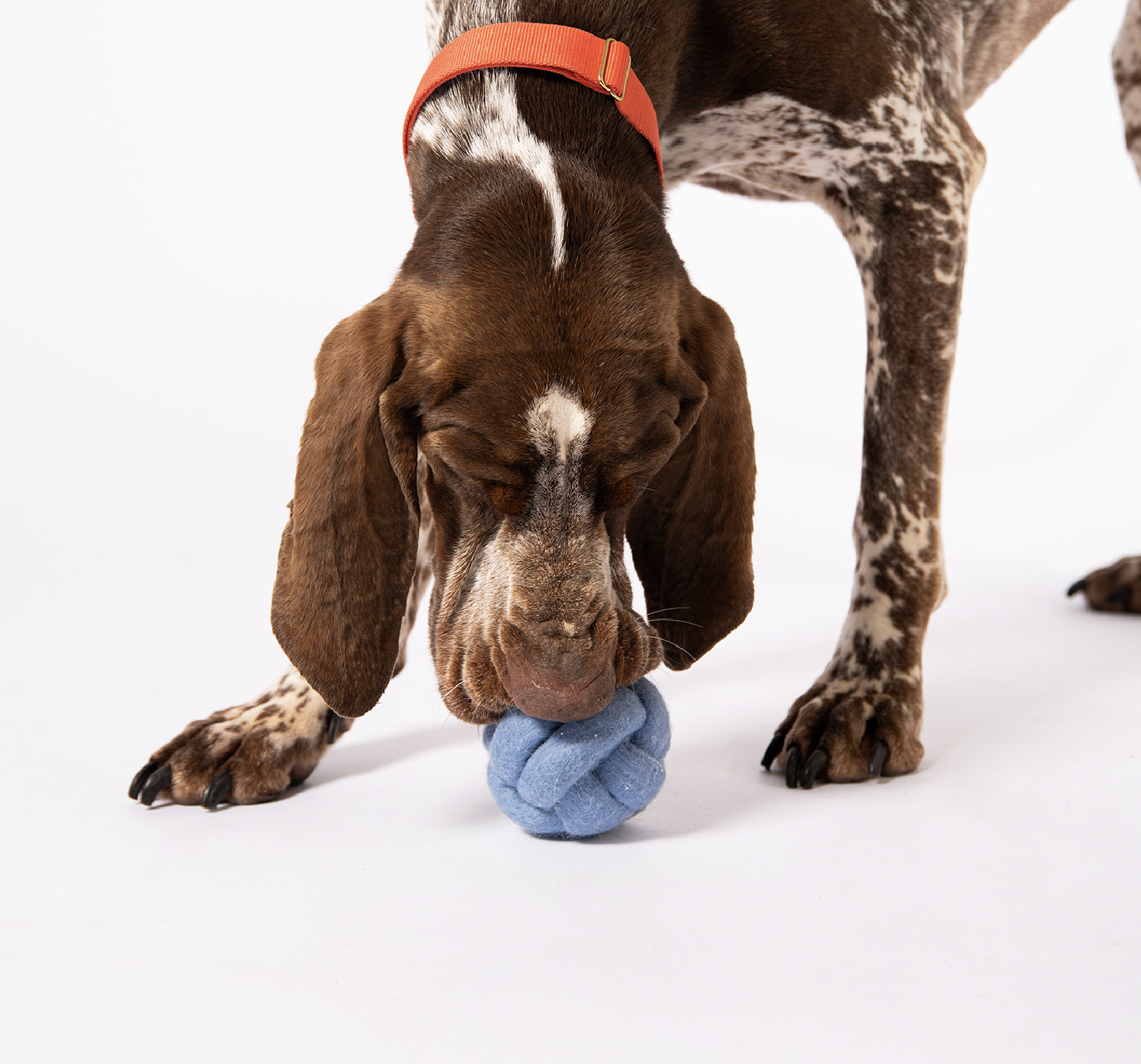 羊毛氈藏食玩具超好玩