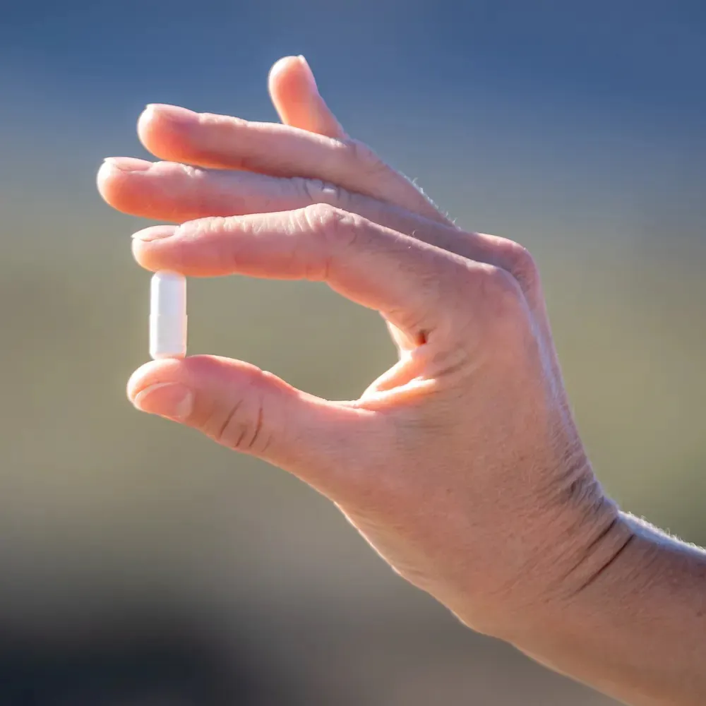 運動中 提升運動戰力 爆發組合