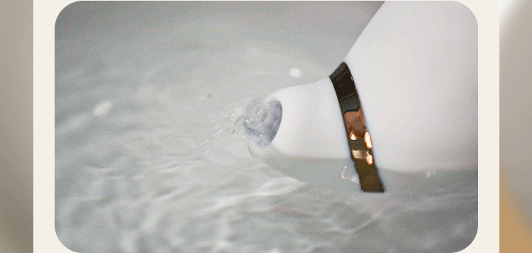 Barbra 天羽 吸啜震動器