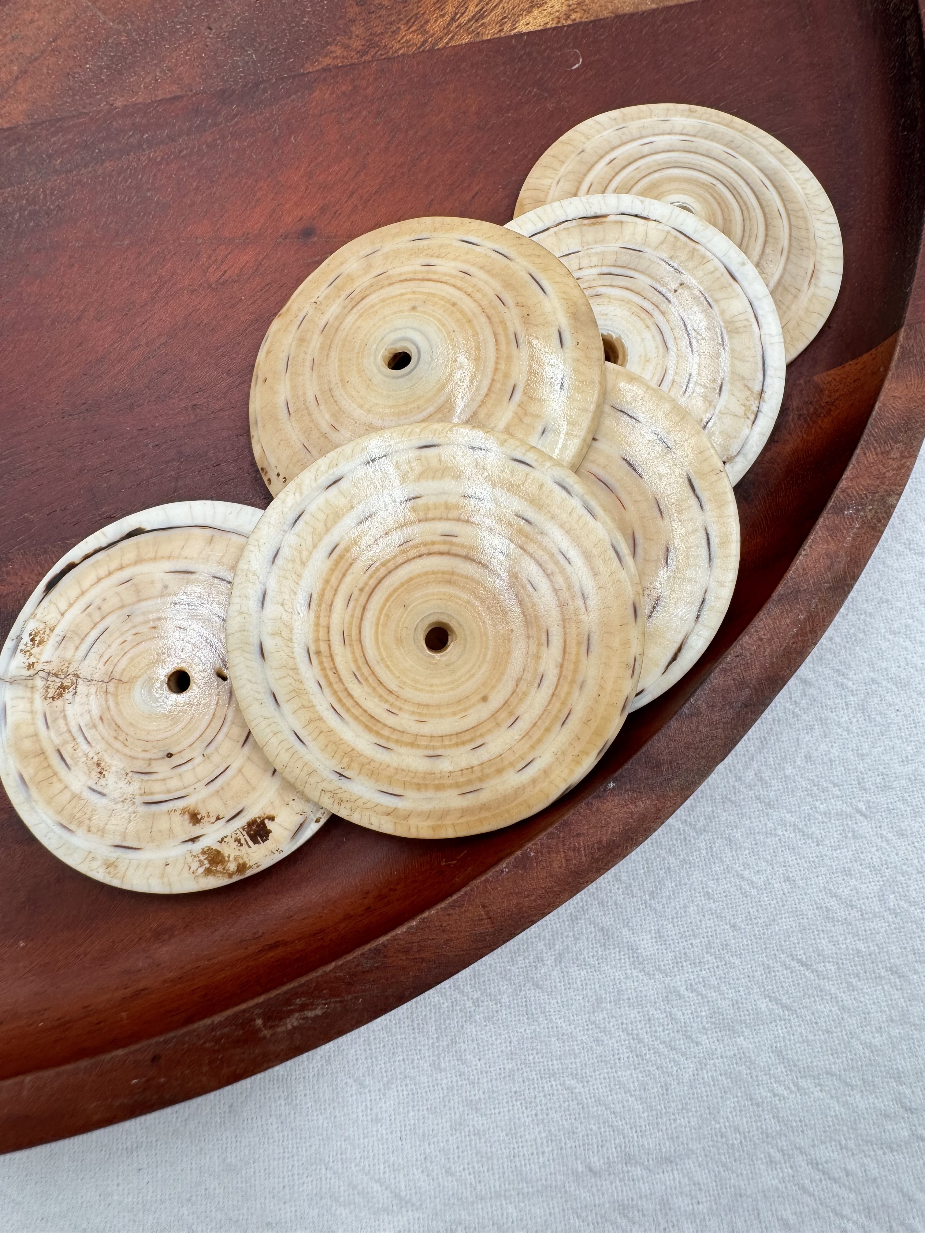 扁圓貝.直徑約4cm