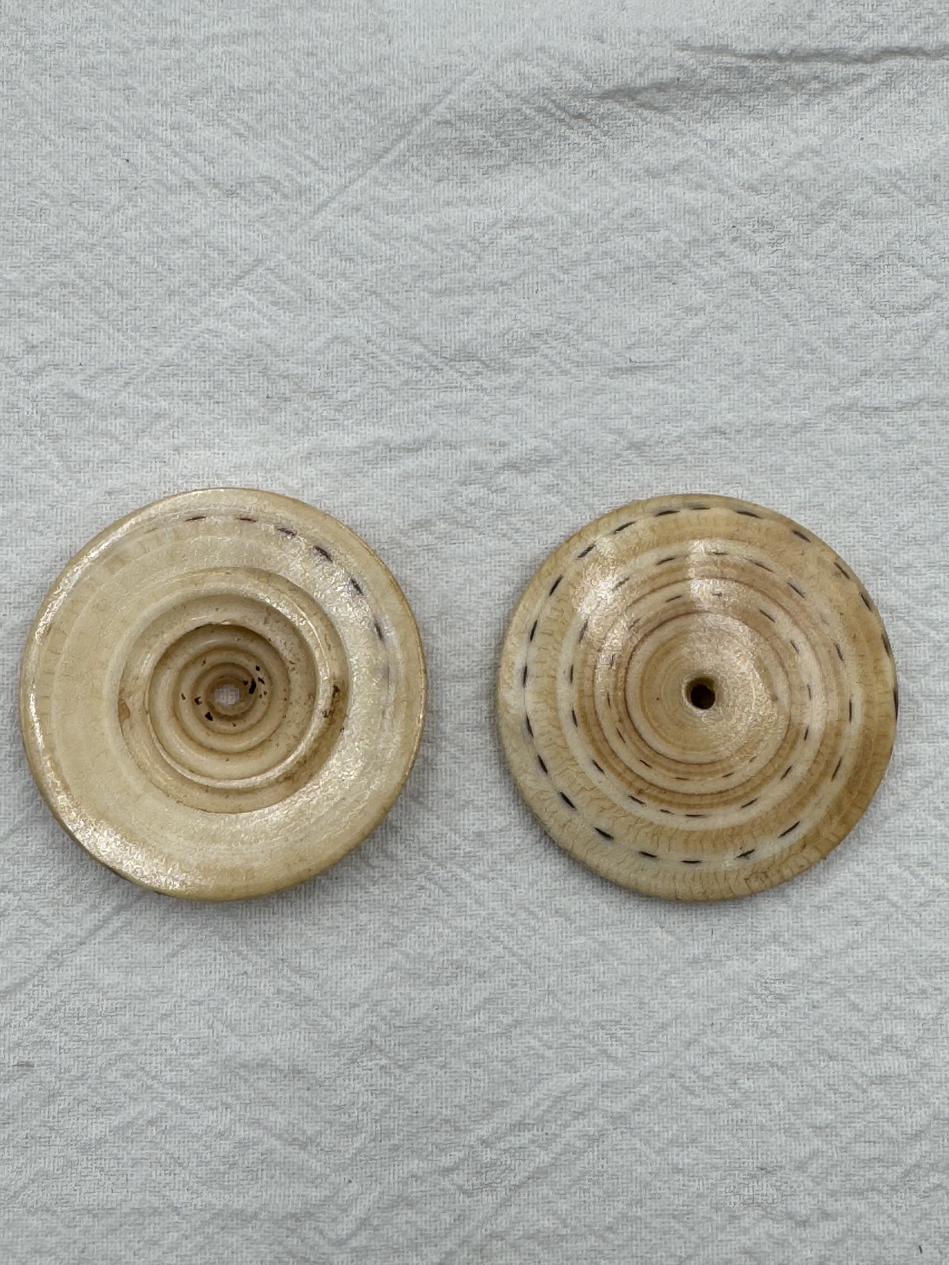 扁圓貝.直徑約4cm