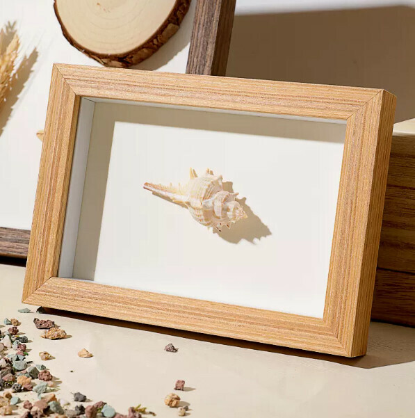 熱賣木質標本相框（木紋色 小12寸【20.3*30.5釐米】含整卡紙）