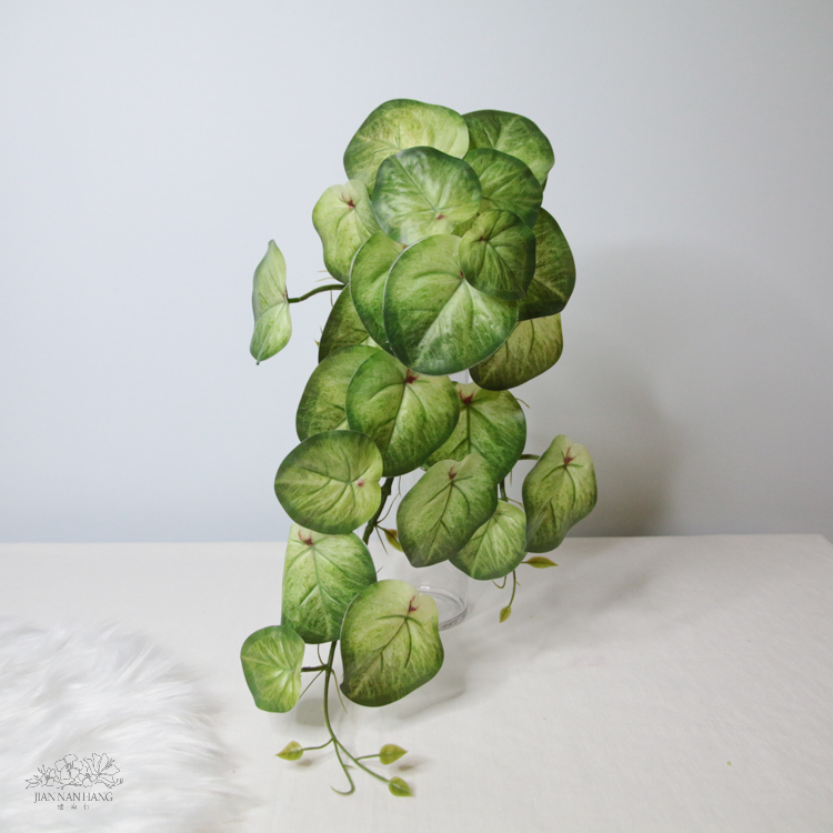 人造葉 虎耳葉垂藤