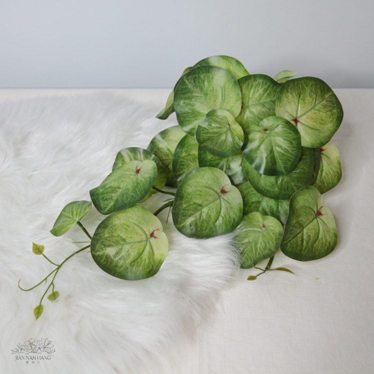 人造葉 虎耳葉垂藤