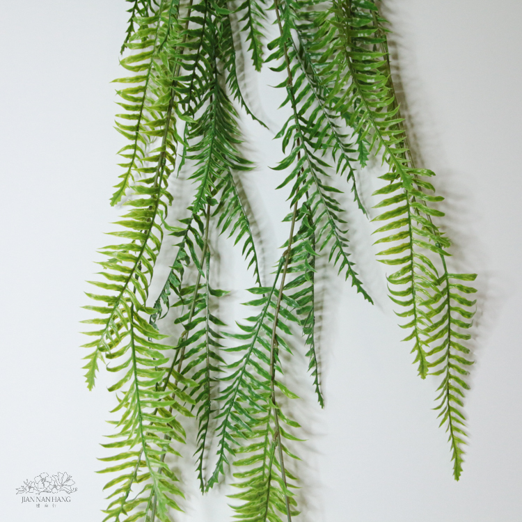 人造葉 波斯頓草藤