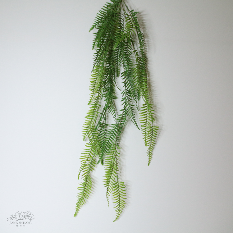 人造葉 波斯頓草藤