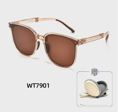 Hot Recommended Folding Sunglasses (Falling Gui Brown)