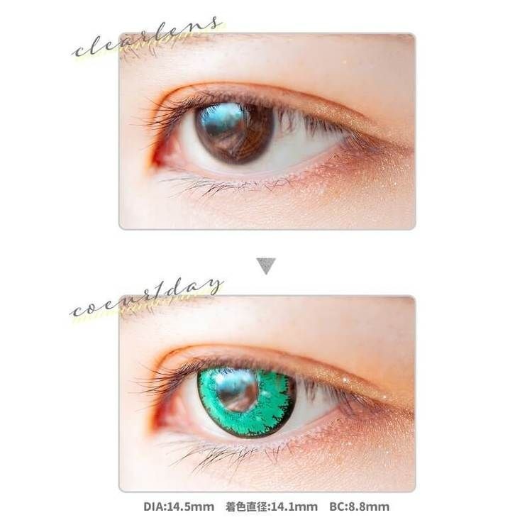 [日拋] Etia coeur 1 Day Forest 日拋隱形眼鏡｜每盒6片