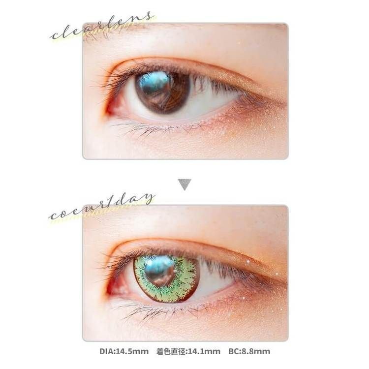 [日拋] Etia coeur 1 Day La France 日拋隱形眼鏡｜每盒6片