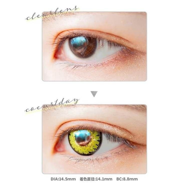 [日拋] Etia coeur 1 Day Honey Gold 日拋隱形眼鏡｜每盒6片