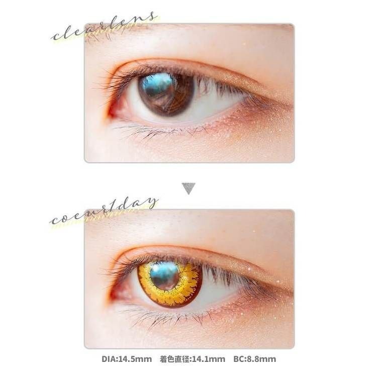 [日拋] Etia coeur 1 Day Caramel Gold 日拋隱形眼鏡｜每盒6片
