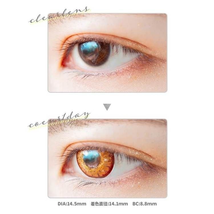 [日拋] Etia coeur 1 Day amber 日拋隱形眼鏡｜每盒6片