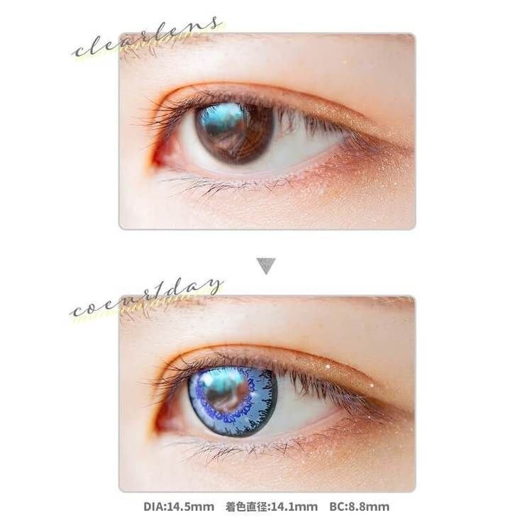 [日拋] Etia coeur 1 Day Hortensia 日拋隱形眼鏡｜每盒6片