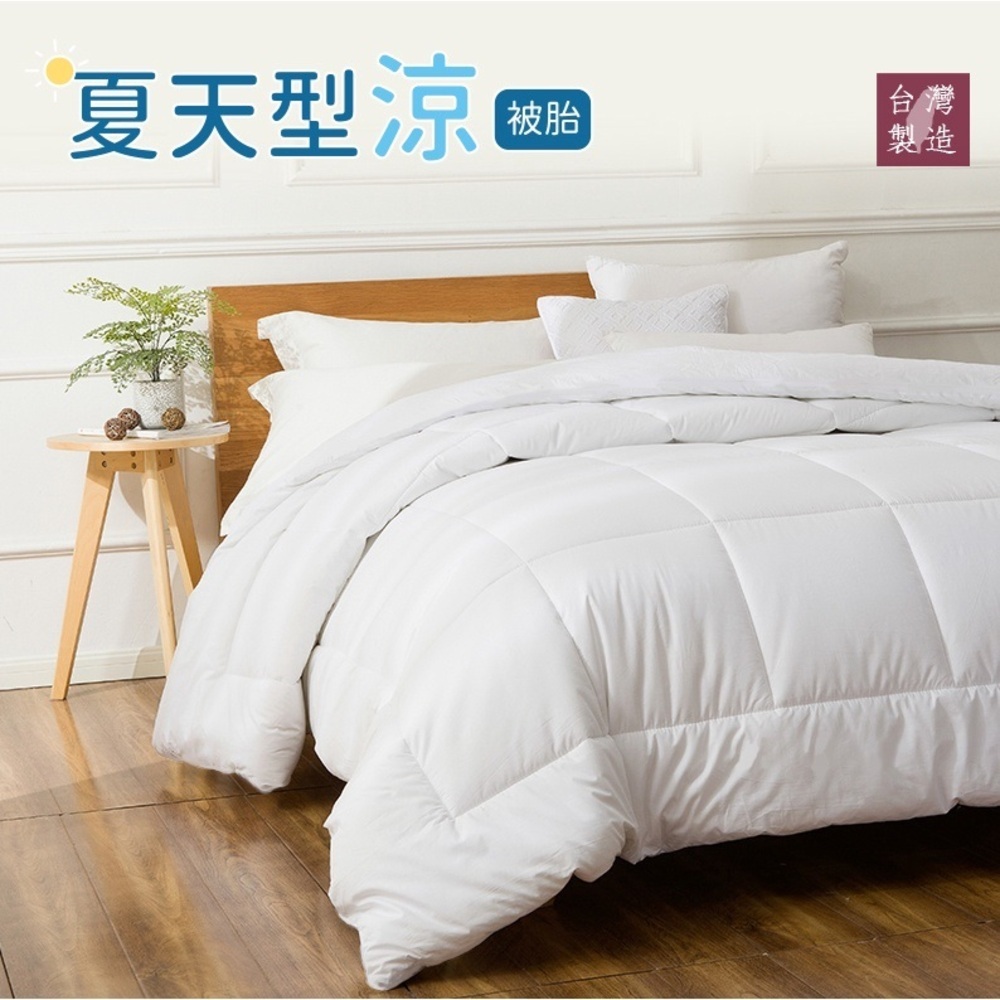 【藍貓Blue cat】夏天型羽絲絨棉涼被胎