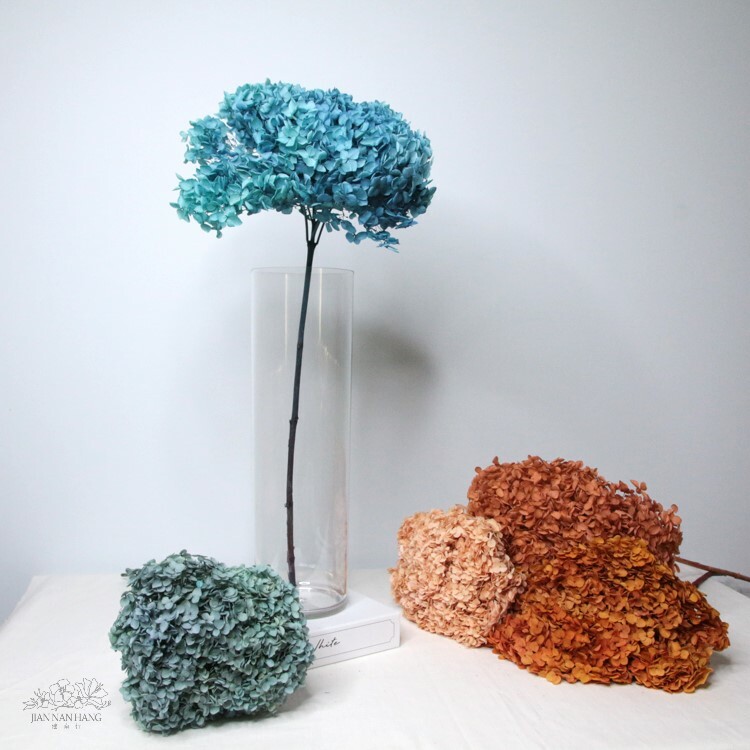 乾燥花 帶桿繡球 5色