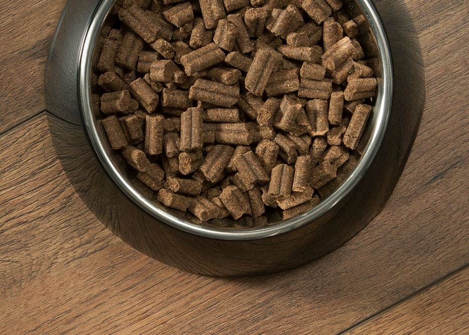 PRINS ProCare Insect & Rice Hypoallergenic 20kg