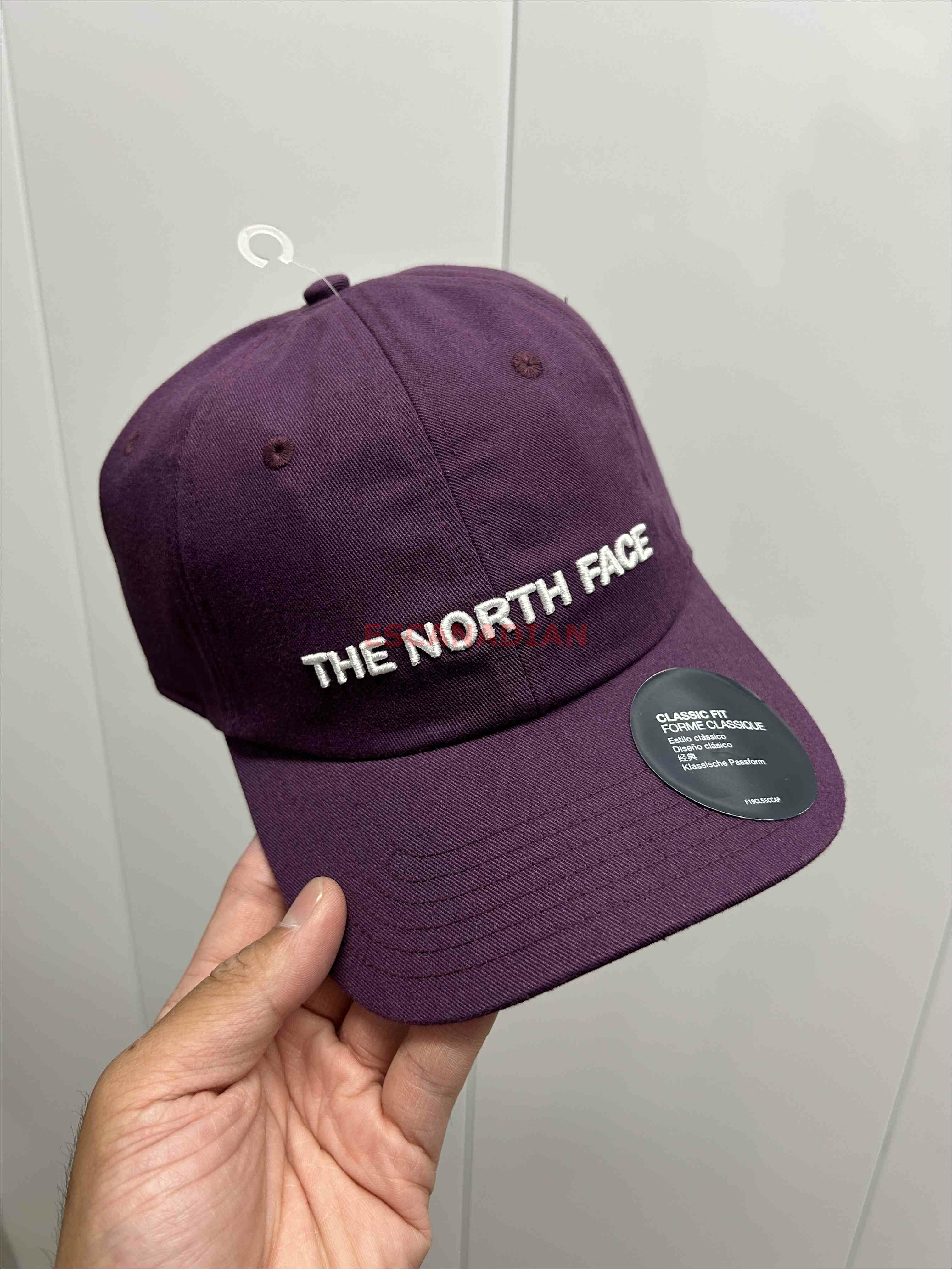 THE NORTH FACE 大人 刺繡字樣 帽子