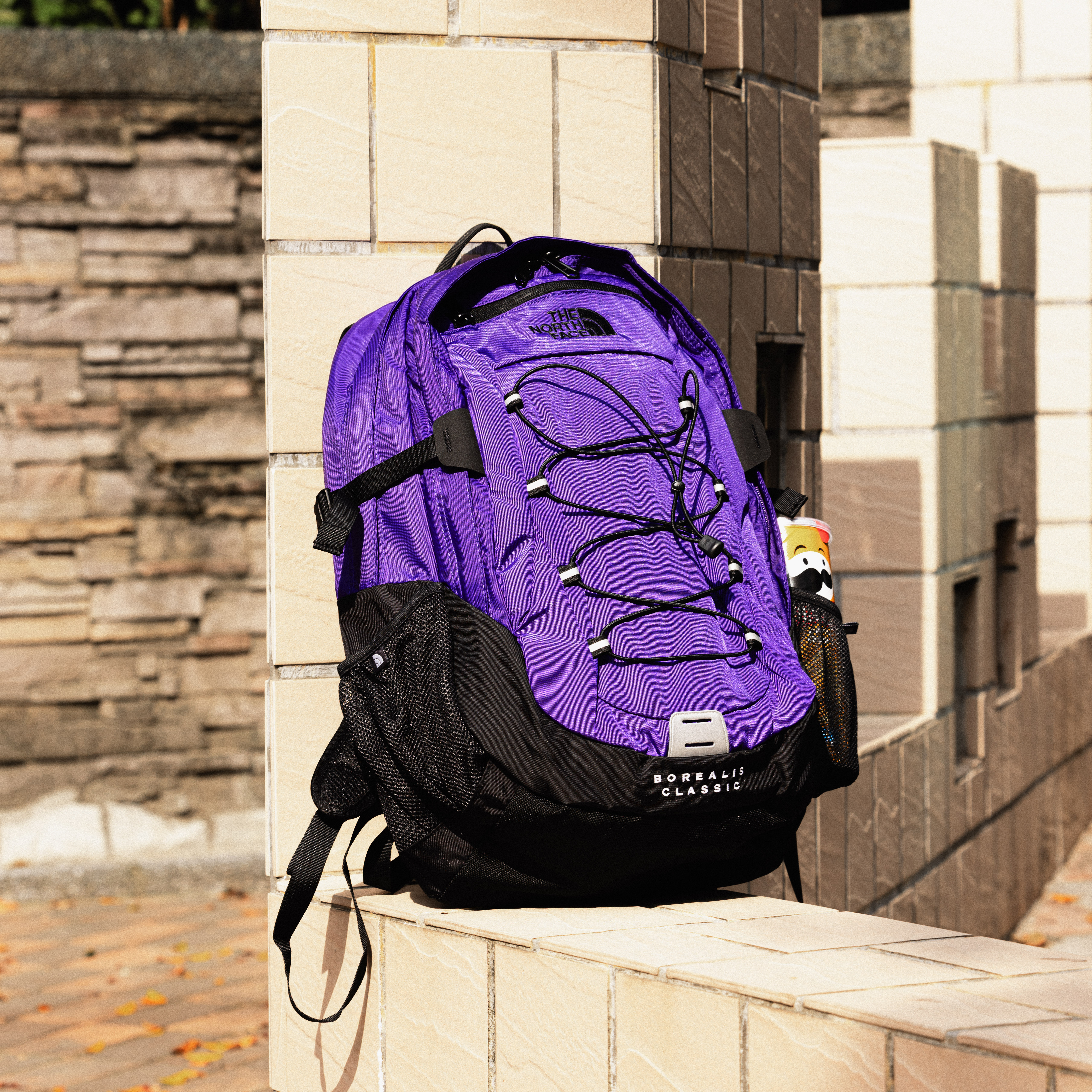 -(E12a0304)-THE NORTH FACE BOREALS CLASSIC DAYPACK 29L 可調式背帶 多夾層 雙肩包 電腦包 後背包-NF00CF9C 紫色(S96)