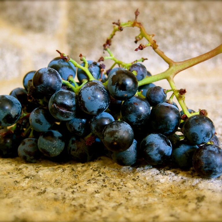 •	黑凱諾紅酒, 西班牙, 鮮果味和香料, 葡萄酒, 紅酒, 白酒, 葡萄酒品嚐, 葡萄酒文化, 葡萄酒品牌, 紅酒搭配, 葡萄酒市場, wine, red wine, white wine, wine tasting, wine culture