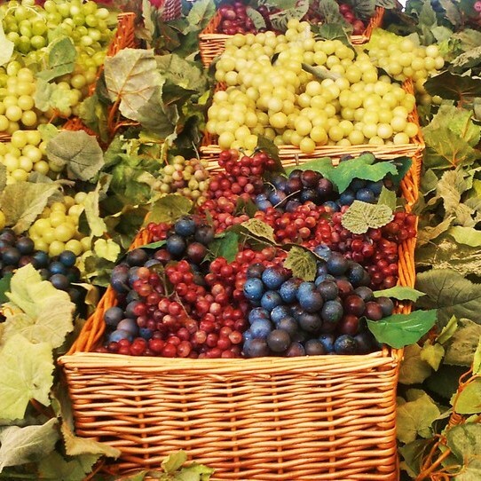 •	巴加紅酒, 葡萄牙, 高酸和深色水果味, 葡萄酒, 紅酒, 白酒, 葡萄酒品嚐, 葡萄酒文化, 葡萄酒品牌, 紅酒搭配, 葡萄酒市場, wine, red wine, white wine, wine tasting