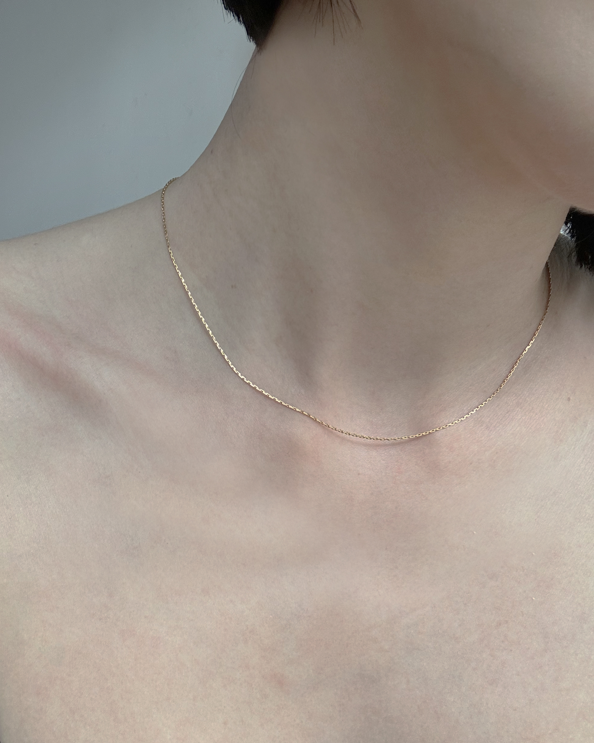 Eli | 簡練細蛇鏈 14K包金