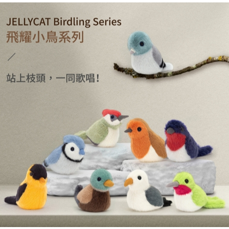 【樂森藥局】英國 Jellycat Birdling 飛耀小鳥系列 綠頭鴨、知更鳥、啄木鳥、藍冠山雀 10X7公分