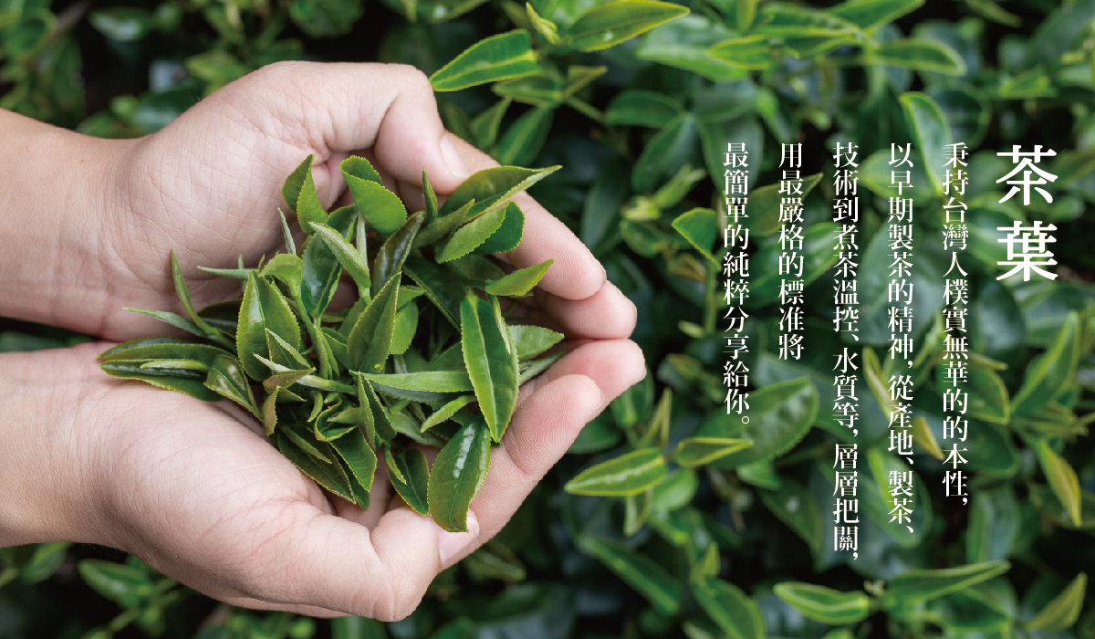 有飲的茶葉經過層層把關，提供最純粹的原料給大家