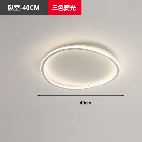Hot Selling Ceiling Lamp (TY1038_Bedroom 40CM Wall Control [Three Color Dimming])