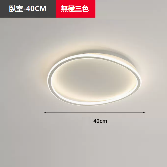 Hot Selling Ceiling Lamp (TY1038_Bedroom 40CM Remote Control [Infinitely Dimmable])