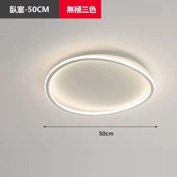 Hot Selling Ceiling Lamp (TY1038_Bedroom 50CM Remote Control [Infinitely Dimmable])