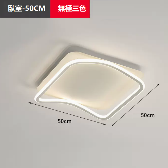 Hot Selling Ceiling Lamp (TY1052_Bedroom 50CM Remote Control [Infinitely Dimmable])