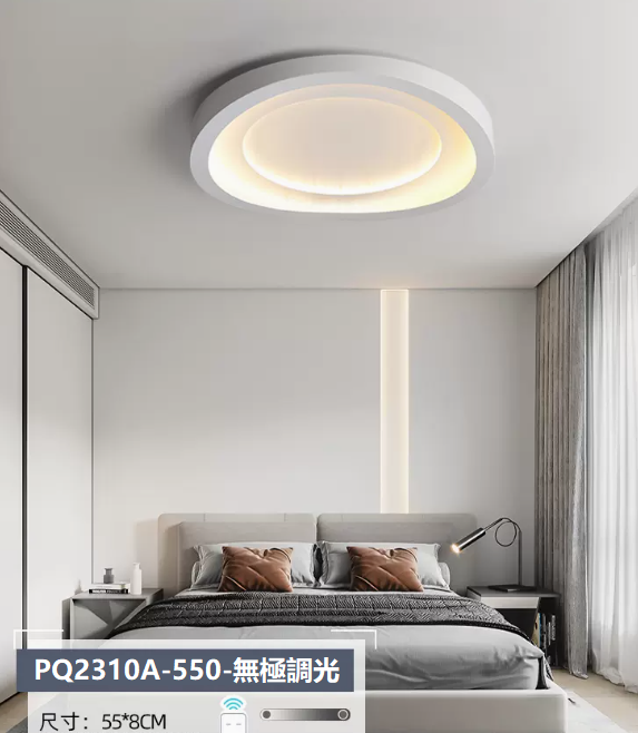 Hot selling ceiling lamp (PQ2310 A white_bedroom 55CM remote control [stepless dimming])