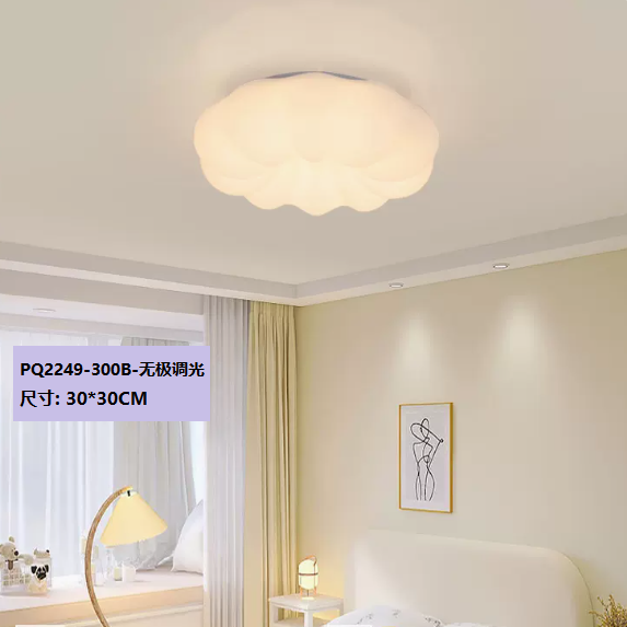 Hot Selling Ceiling Lamp (PQ2249 B Style White_30CM Remote Control [Stepless Dimming])
