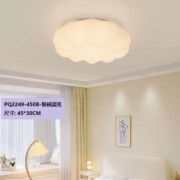 Hot Selling Ceiling Lamp (PQ2249 B Style White_45CM Remote Control [Stepless Dimming])