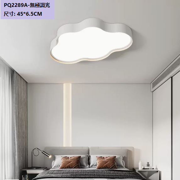 Hot selling ceiling lamp (PQ2289_A type white_45CM remote control [stepless dimming])
