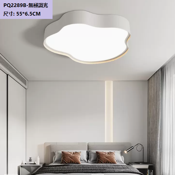 Hot selling ceiling lamp (PQ2289_B style white_55CM remote control [stepless dimming])