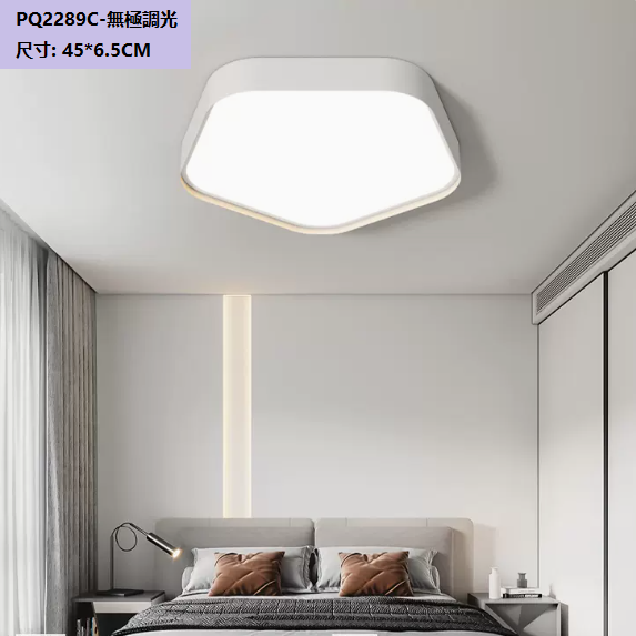 Hot selling ceiling lamp (PQ2289_C style white_45CM remote control [stepless dimming])