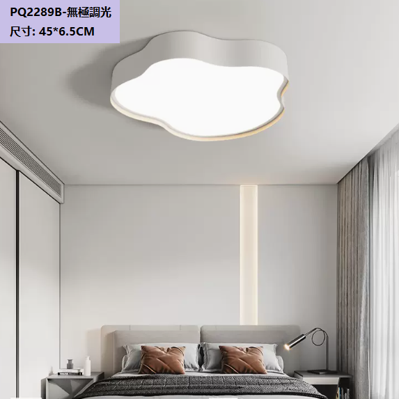 Hot selling ceiling lamp (PQ2289_B type white_45CM remote control [stepless dimming])