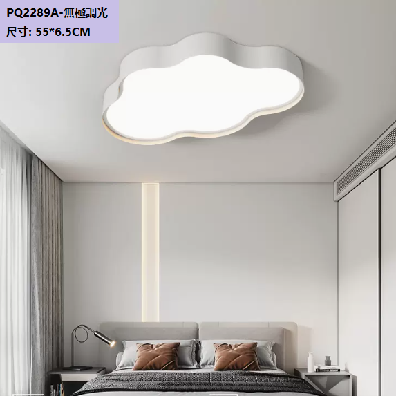 Hot selling ceiling lamp (PQ2289_A white_55CM remote control [stepless dimming])