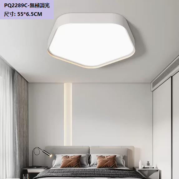 Hot selling ceiling lamp (PQ2289_C style white_55CM remote control [stepless dimming])