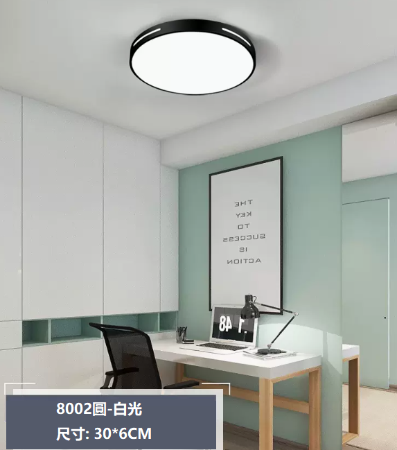 Hot Selling Ceiling Lamp (8002 Round_Bedroom 30CM Wall Control [White Light])