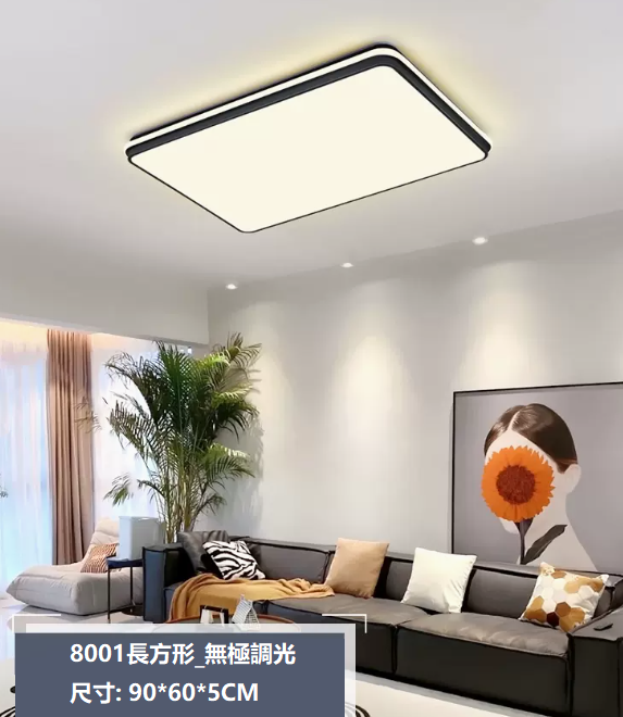 Hot selling ceiling lamp (8001_small living room 90*60CM remote control [stepless dimming])