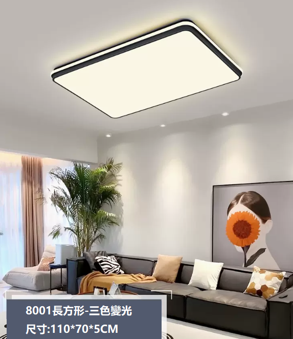 熱賣吸頂燈（8001_大客廳110*70CM壁控【三色變光】）