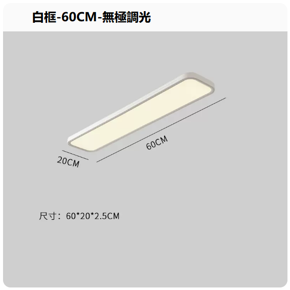 熱賣吸頂燈（白框60CM_無極調光）